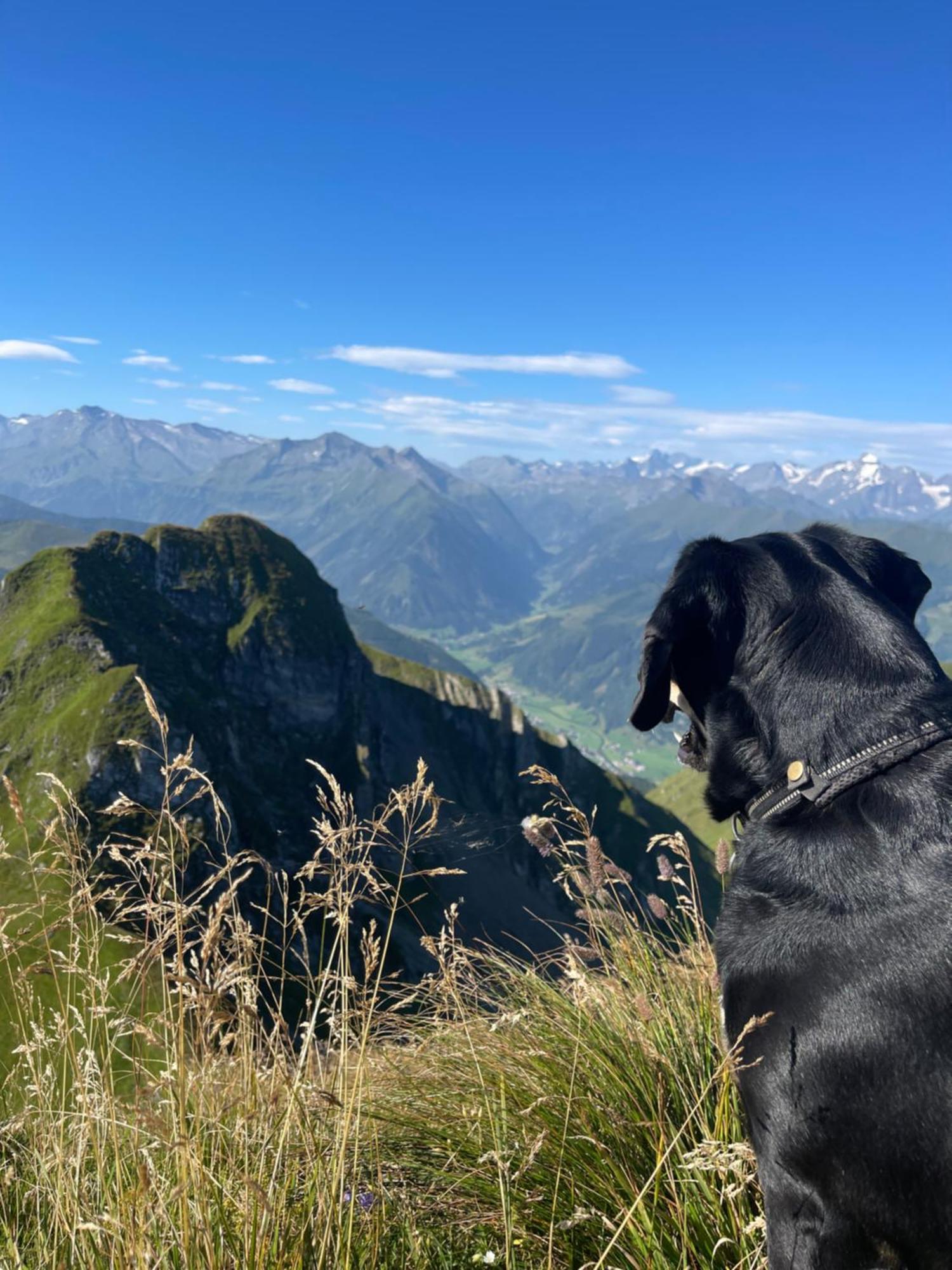 Gaestezimmer Peterbauer Apartment Dorfgastein Bagian luar foto