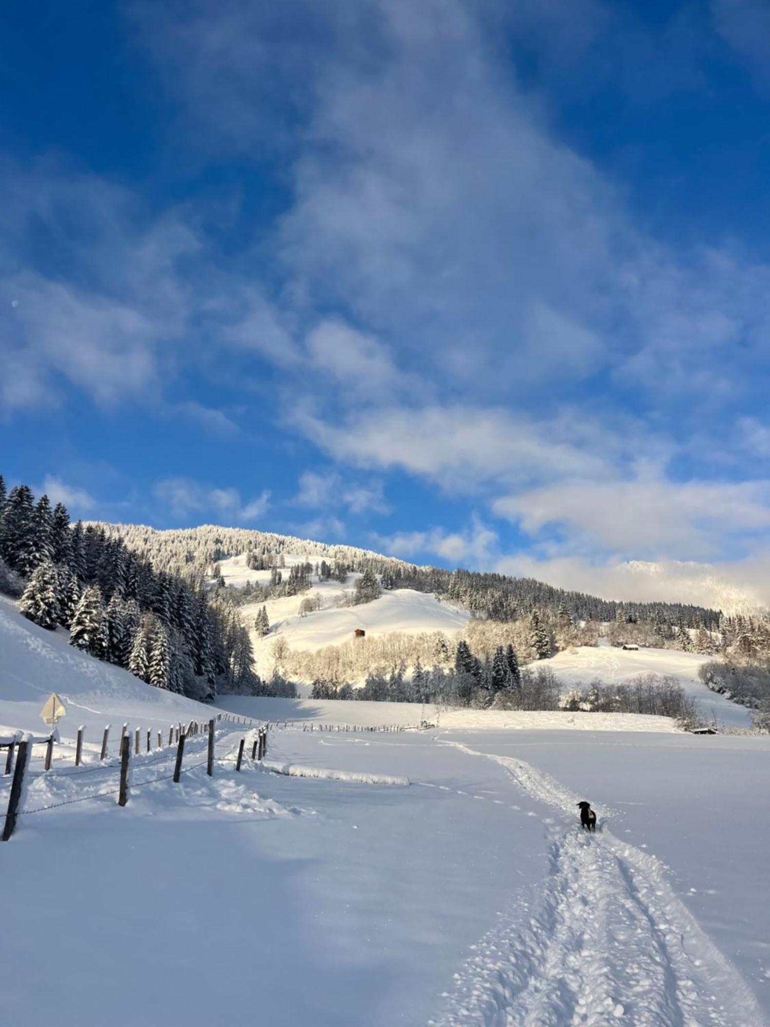 Gaestezimmer Peterbauer Apartment Dorfgastein Bagian luar foto