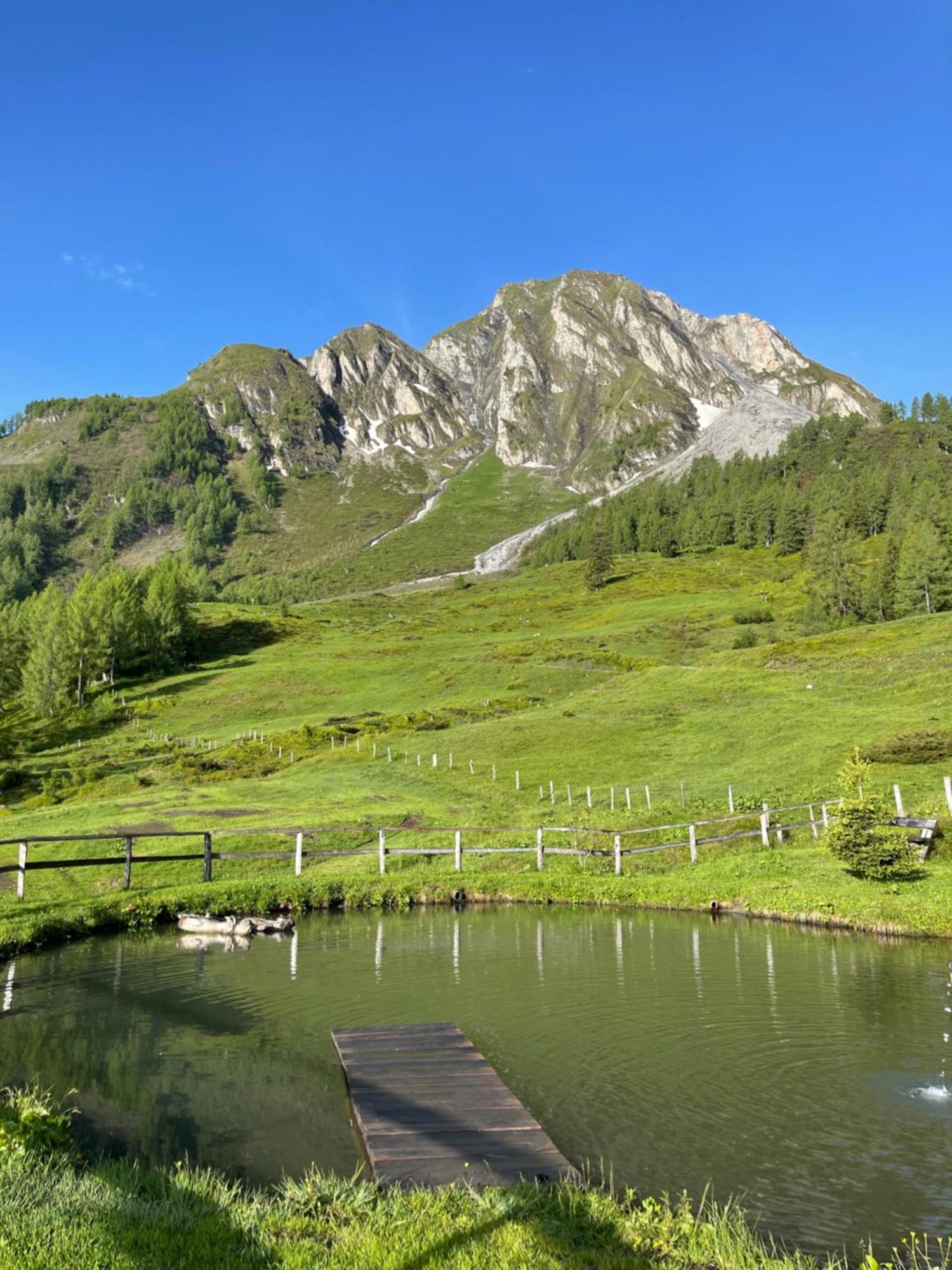 Gaestezimmer Peterbauer Apartment Dorfgastein Bagian luar foto