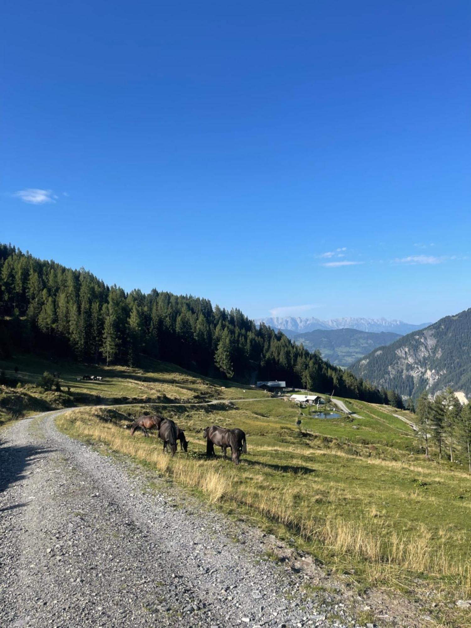 Gaestezimmer Peterbauer Apartment Dorfgastein Bagian luar foto